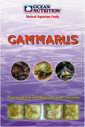 ON Gammarus